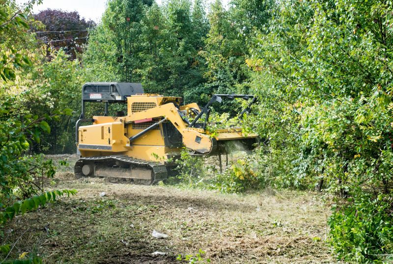 Land Clearing Process