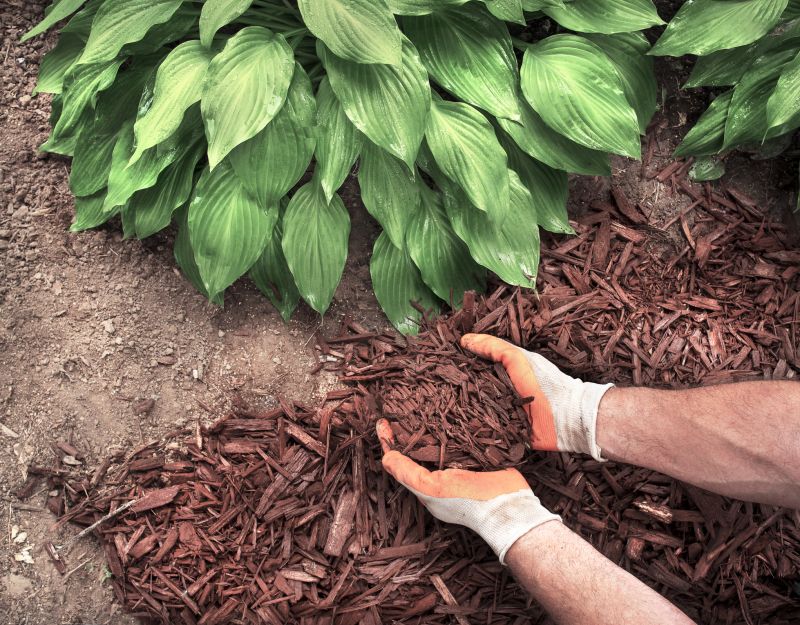 Mulch Application